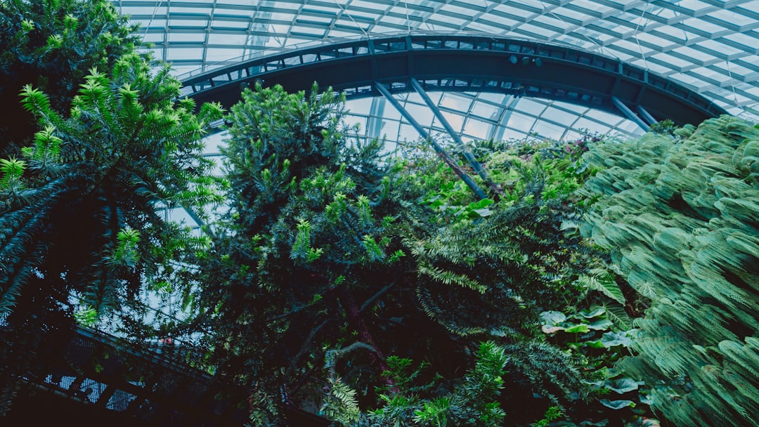 Photo artificial ecosystems
