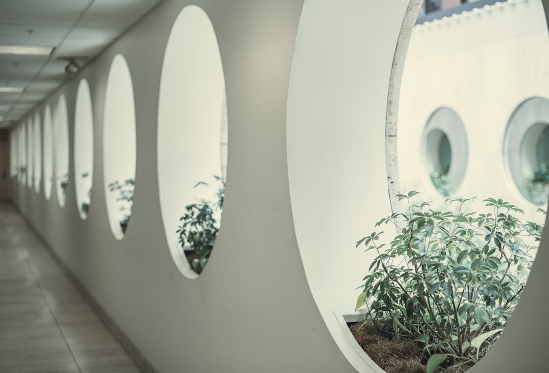 Photo Antarctic capsule gardens